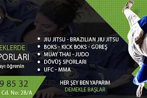 Yolcu Jiu Jitsu MMA UFC Savunma Sanatları Spor Salonu Konya image