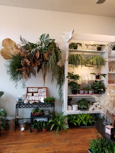 Florist «Fleur de Lis Fresh Flowers», reviews and photos, 516 Selby Ave, St Paul, MN 55102, USA