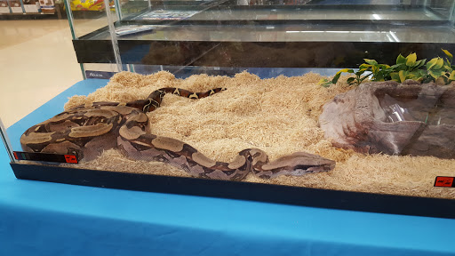 Pet Supply Store «Petco Animal Supplies», reviews and photos, 1350 S Ironton St #120, Aurora, CO 80012, USA