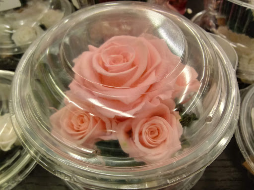 Shopping Mall «Bond Shopping Center», reviews and photos, 1891 S State Rd, Upper Darby, PA 19082, USA