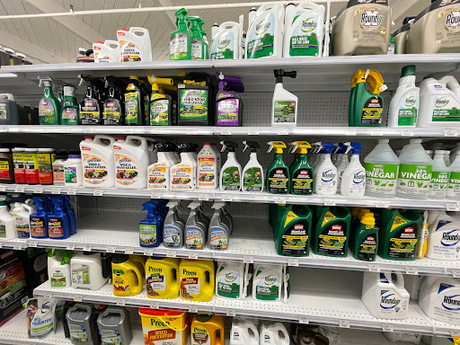 Hardware Store «Vision Ace Hardware», reviews and photos, 1750 Main St, Dunedin, FL 34698, USA