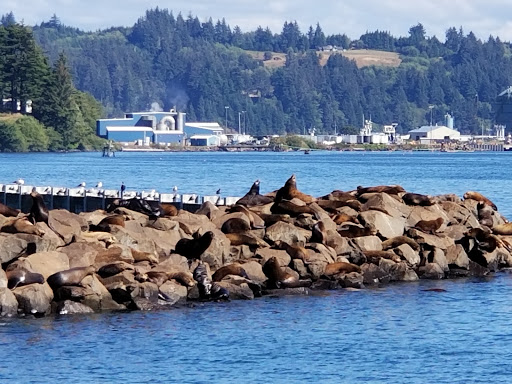 Coffee Shop «Bayscapes Gallery & Coffee house», reviews and photos, 333 SW Bay Blvd, Newport, OR 97365, USA