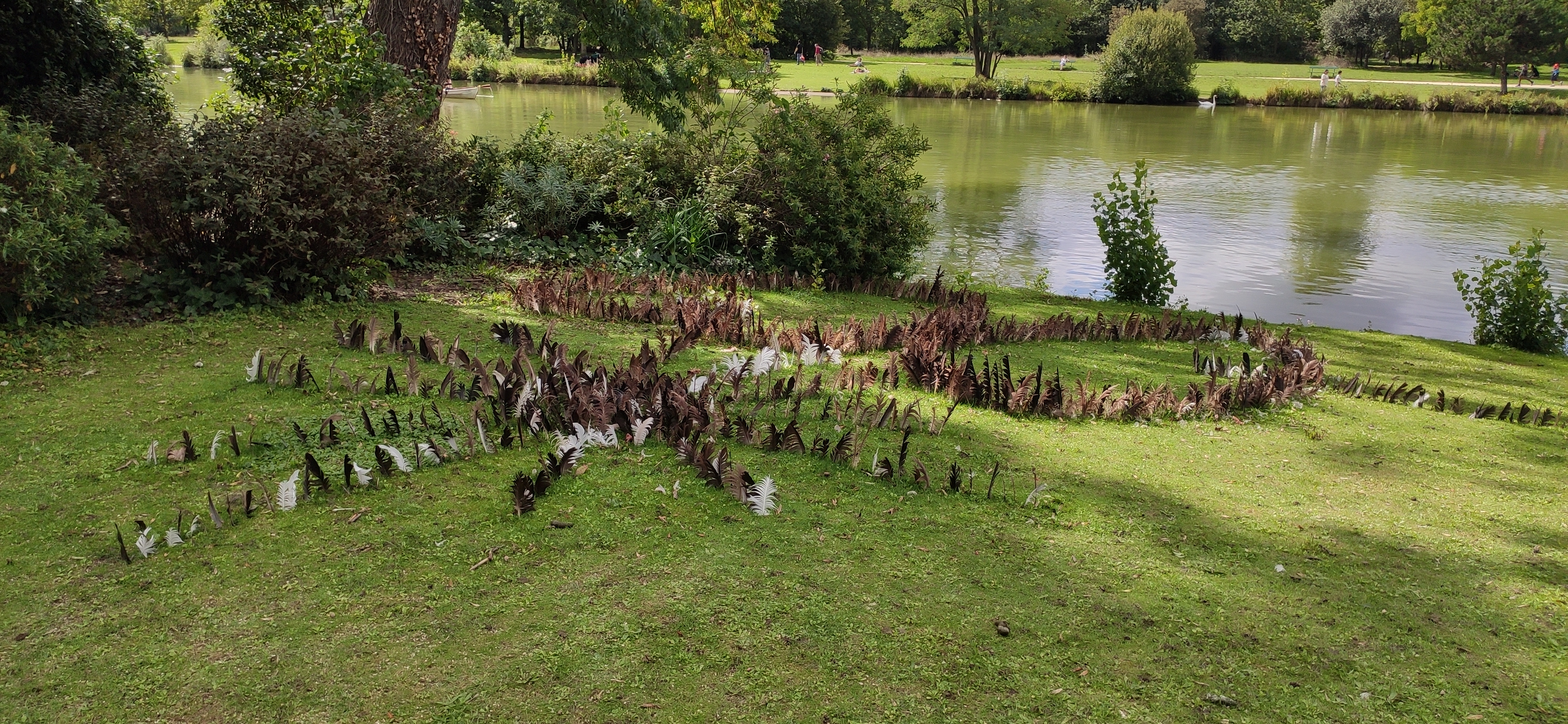 Photo n° 30 de l'avis de Claude.Q fait le 15/08/2023 à 14:52