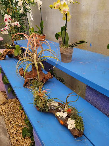 Wholesale Plant Nursery «Galloway Farm Nursery Inc.», reviews and photos, 7790 SW 87th Ave, Miami, FL 33173, USA