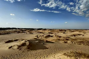 Oleshky Sands image
