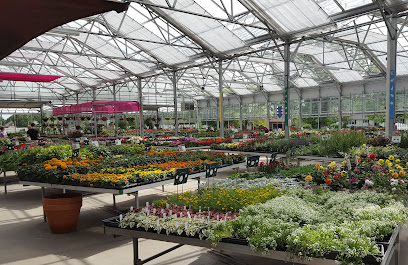 McClish's Plants Plus Greenhouses