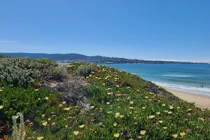 Del Monte Beach image