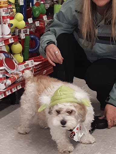 Pet Supply Store «Petco Animal Supplies», reviews and photos, 940 Costley Way, Prince Frederick, MD 20678, USA