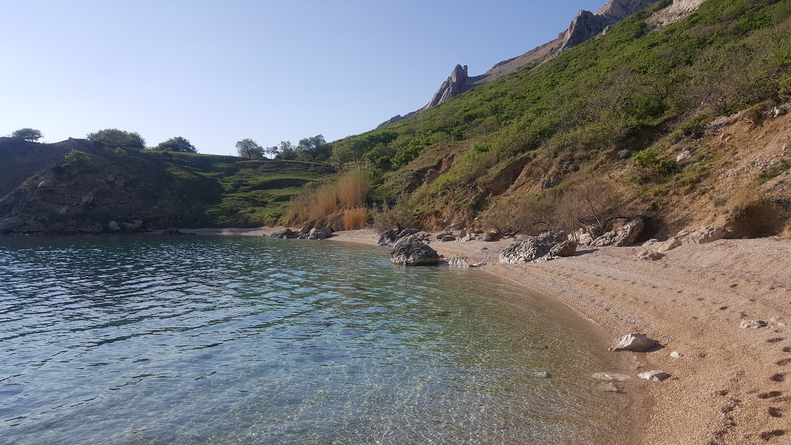 Delfinka beach'in fotoğrafı - tatil için iyi evcil hayvan dostu nokta