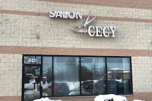 Salon Cecy & Color, Inc. image