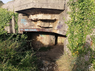 Photo n°16 de Pointe de Suzac à Saint-Georges-de-Didonne ()