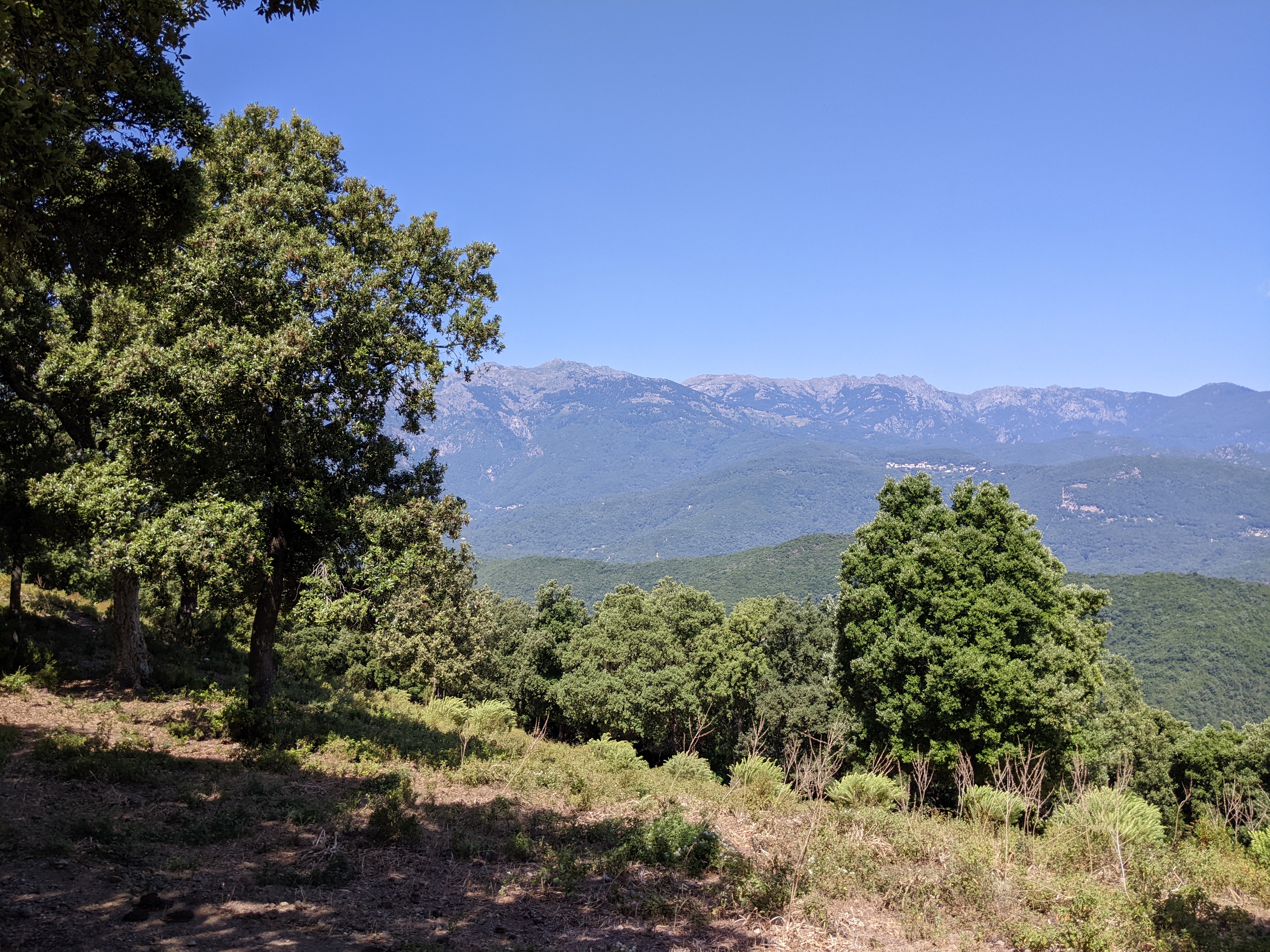 Photo n° 10 de l'avis de Celia. fait le 13/07/2022 à 13:34
