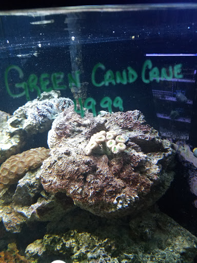 Pet Store «Claremont Pet & Aquarium Center», reviews and photos, 201 Washington St, Claremont, NH 03743, USA