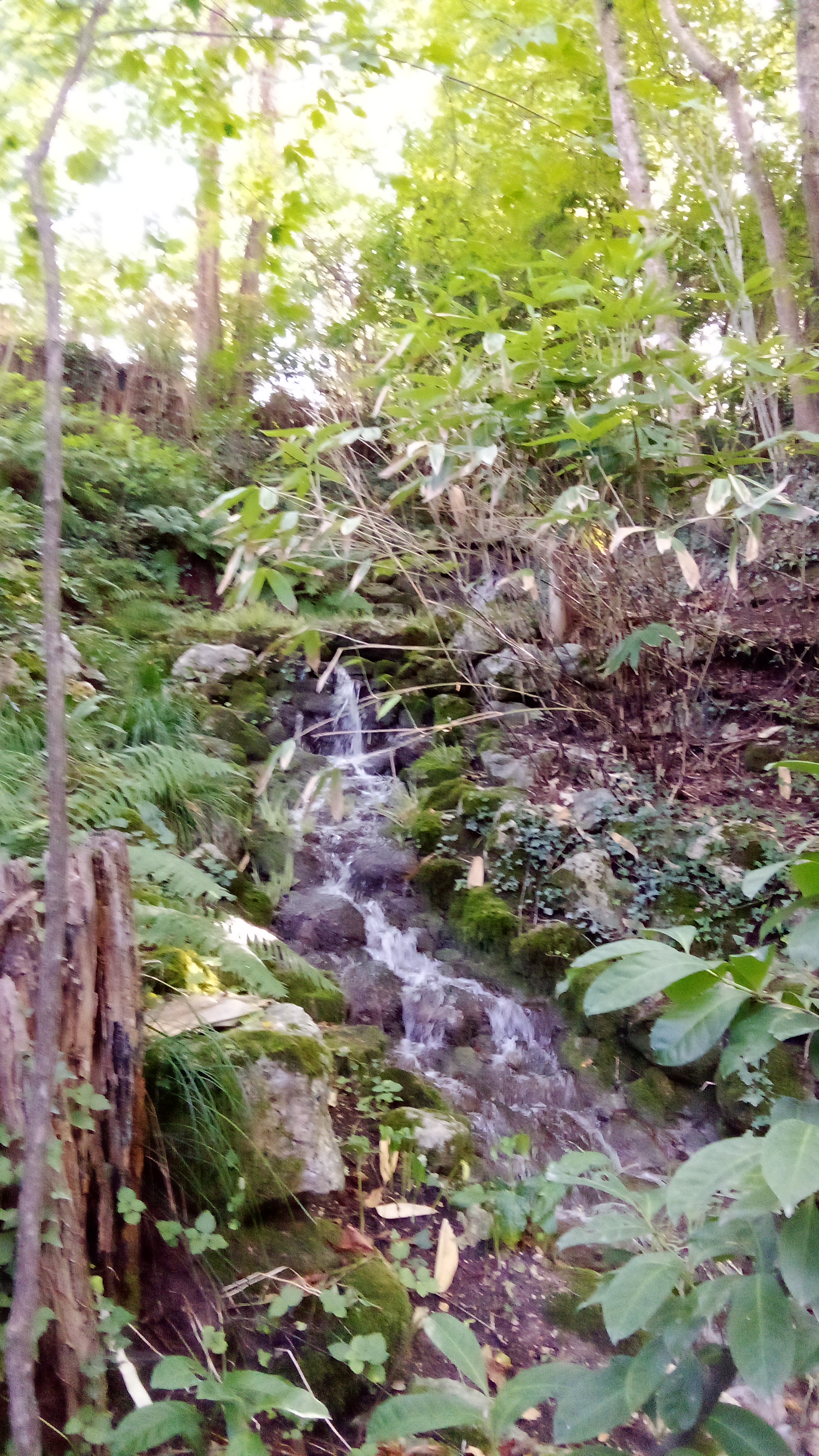 Photo n° 32 de l'avis de moel.o fait le 02/10/2023 à 17:52