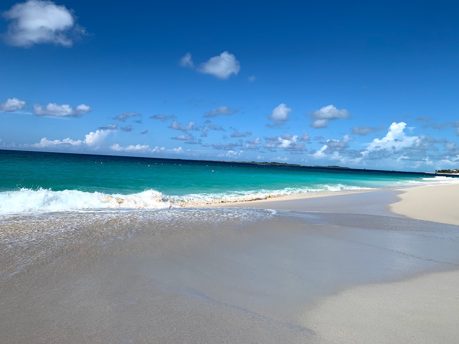 Foto von Paradise beach - beliebter Ort unter Entspannungskennern