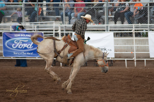 Department Store «Walmart Supercenter», reviews and photos, 1863 5300 Rd, Coffeyville, KS 67337, USA