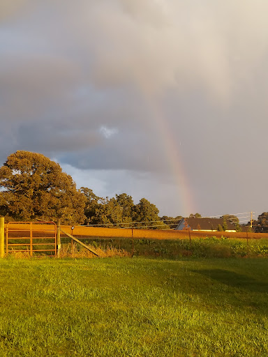 Farm «Warbington Farms (U-Pick Strawberries)», reviews and photos, 5555 Crow Rd, Cumming, GA 30041, USA