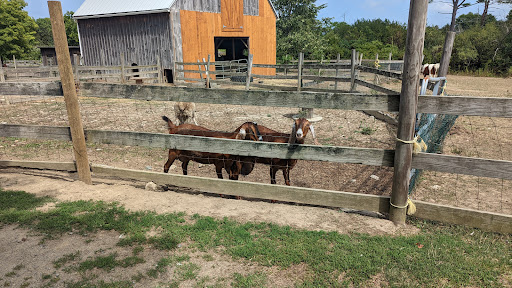 Farm «Russell Orchards», reviews and photos, 143 Argilla Rd, Ipswich, MA 01938, USA