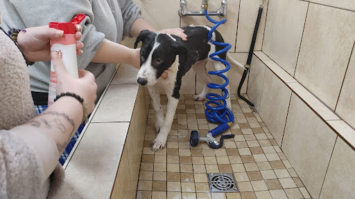 Pet Store «Pets Plus - Quakertown», reviews and photos, 117 S West End Blvd, Quakertown, PA 18951, USA