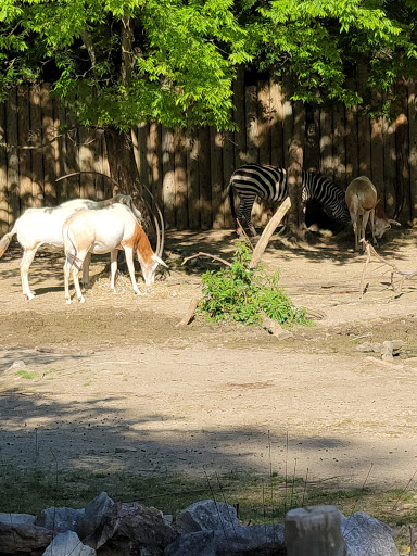 Zoo «Memphis Zoo», reviews and photos, 2000 Prentiss Pl, Memphis, TN 38112, USA
