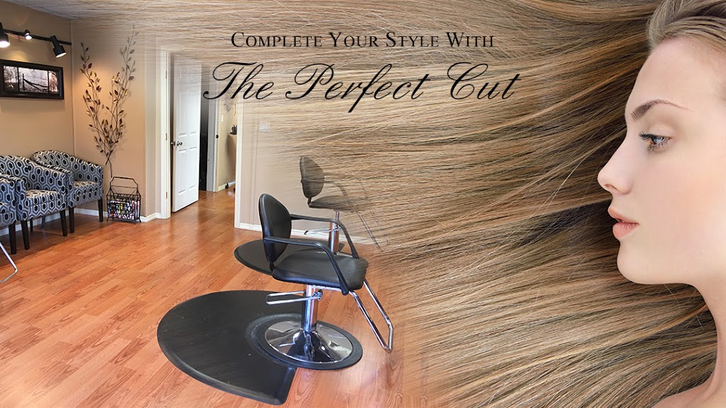 The Perfect Cut 11783