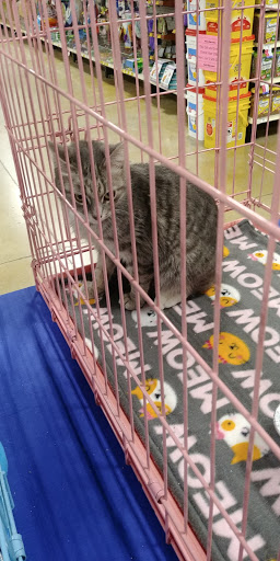 Pet Supply Store «PetSmart», reviews and photos, 162 S Gary Ave, Bloomingdale, IL 60108, USA