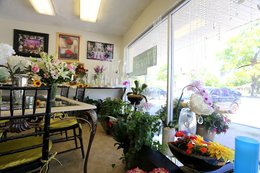 Florist «Four Seasons Floral», reviews and photos, 2087 Drew St, Clearwater, FL 33765, USA
