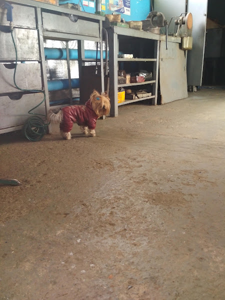 Фахівці за роботою