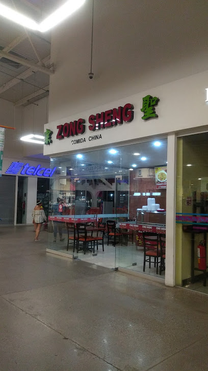 Comida China Zong Sheng