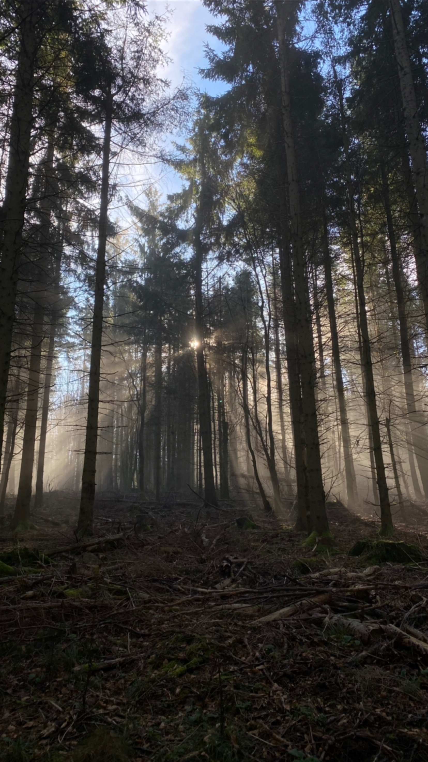 Photo n° 2 de l'avis de manon. fait le 30/11/2021 à 07:28