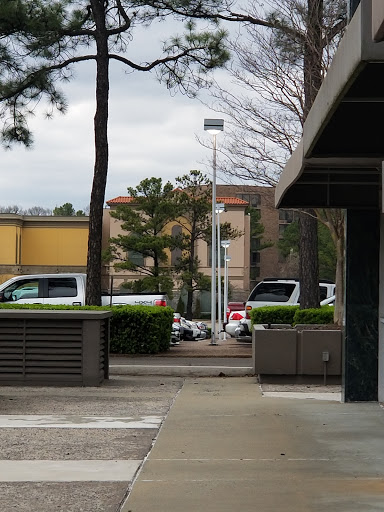 Movie Theater «Malco Paradiso», reviews and photos, 584 S Mendenhall Rd, Memphis, TN 38117, USA