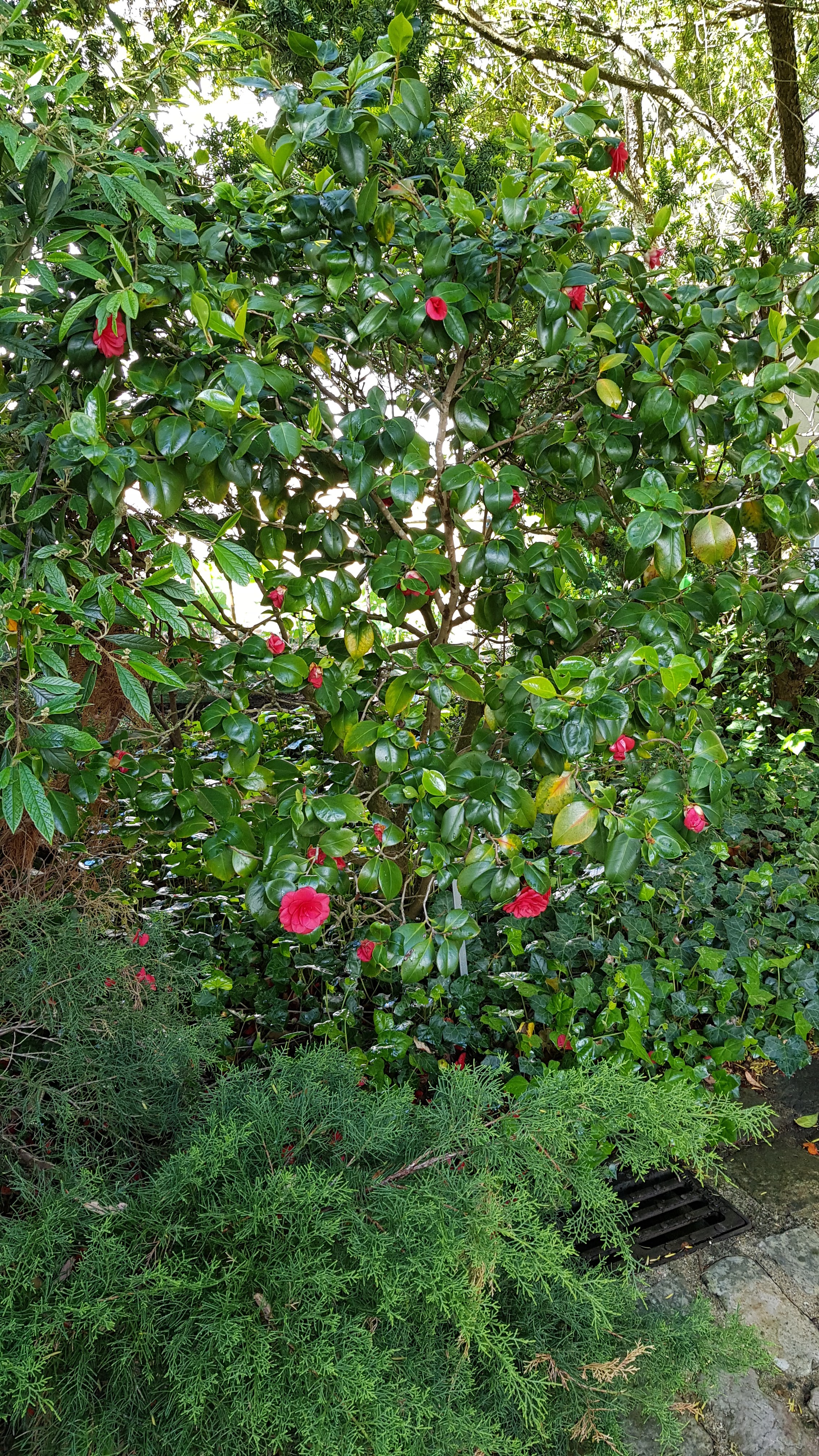 Photo n° 47 de l'avis de Marie.i fait le 20/05/2021 à 09:22