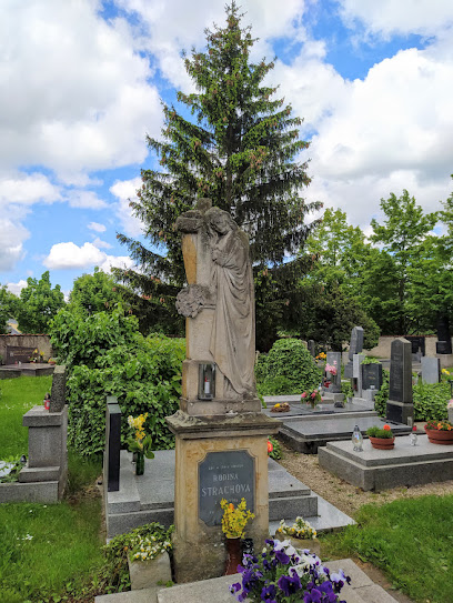 Hřbitov Dřevčice