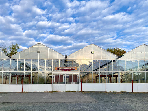 Produce Market «Dzen Garden Market», reviews and photos, 187 Windsorville Rd, Ellington, CT 06029, USA