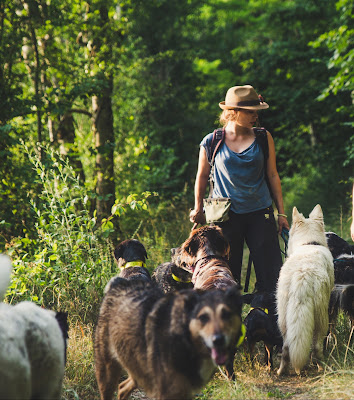 Charline Devaux éducateur et comportementaliste canin à Commarin