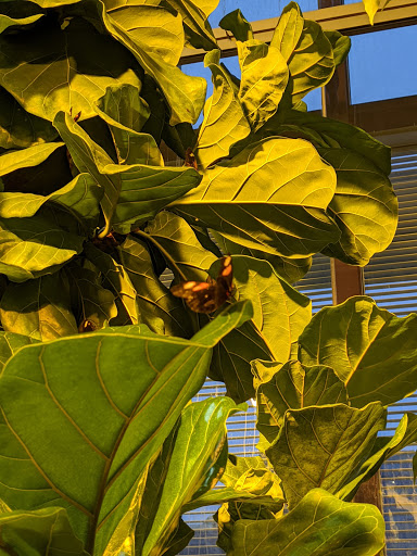 Imax Theater «The National Geographic Dome Theater & Daniel M. Soref Planetarium», reviews and photos, 800 W Wells St, Milwaukee, WI 53233, USA