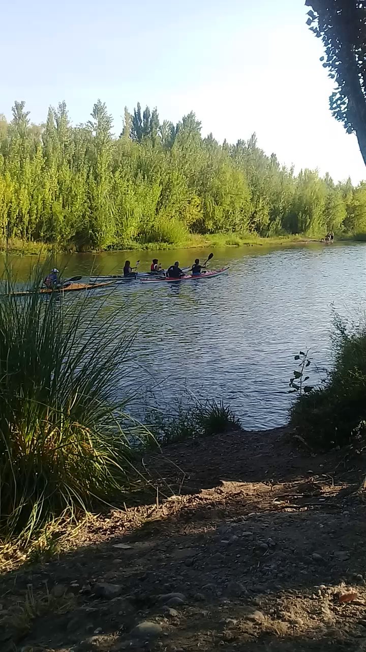 Rio Limay (Naturaleza)