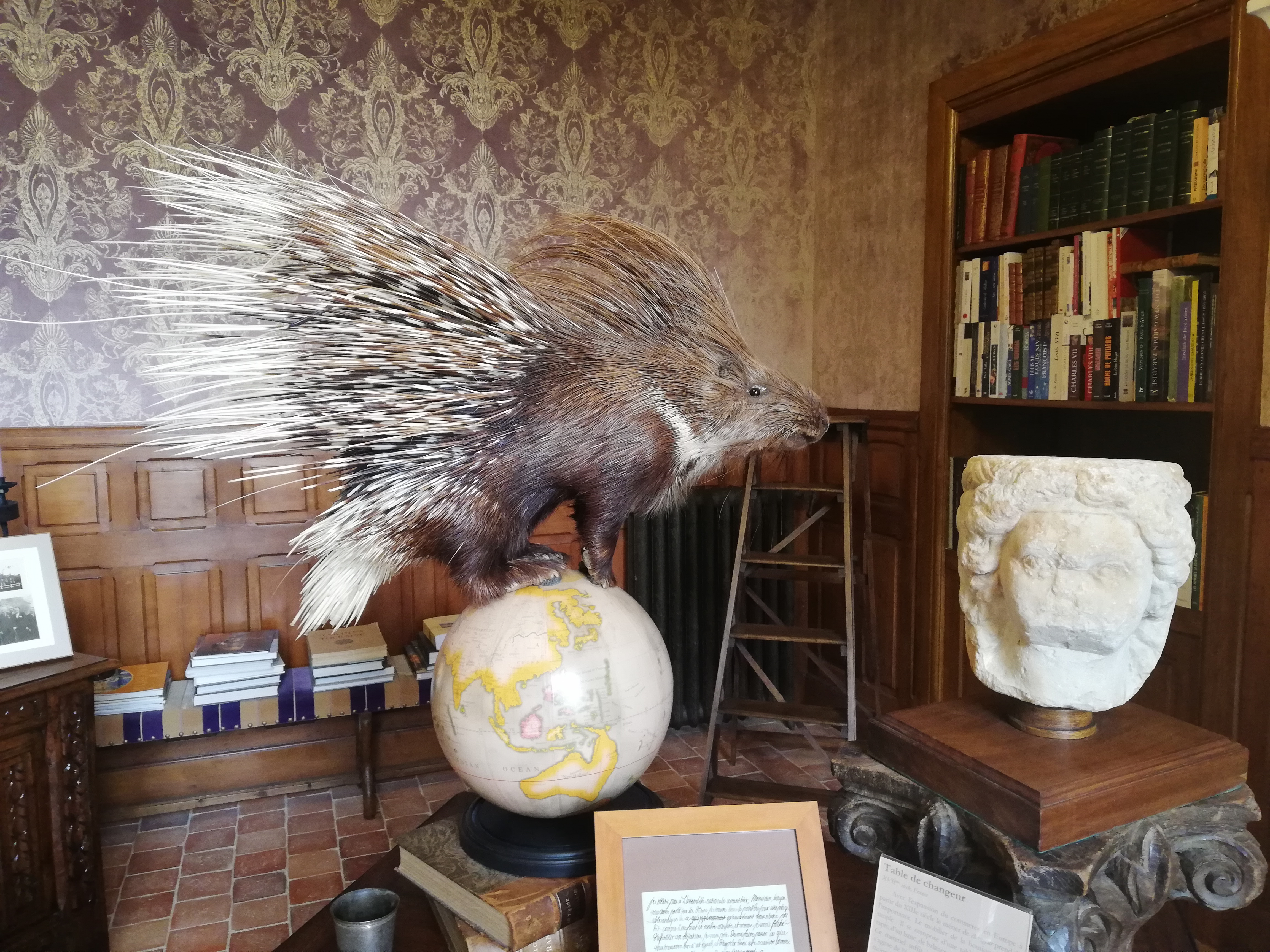 Photo n° 17 de l'avis de Elena.r fait le 13/06/2020 à 12:01