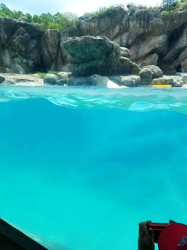 Zoo «North Carolina Zoo», reviews and photos, 4401 Zoo Pkwy, Asheboro, NC 27205, USA