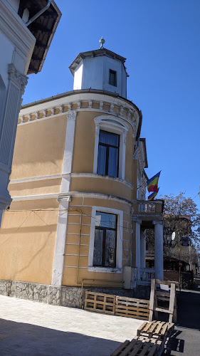 Palatul Copiilor - Școală