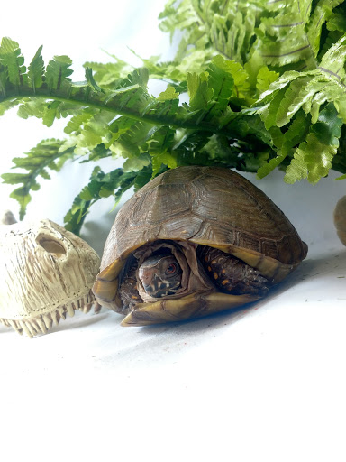 Pet Store «Windy City Pet Store», reviews and photos, 1660 N 4th St m, Laramie, WY 82072, USA