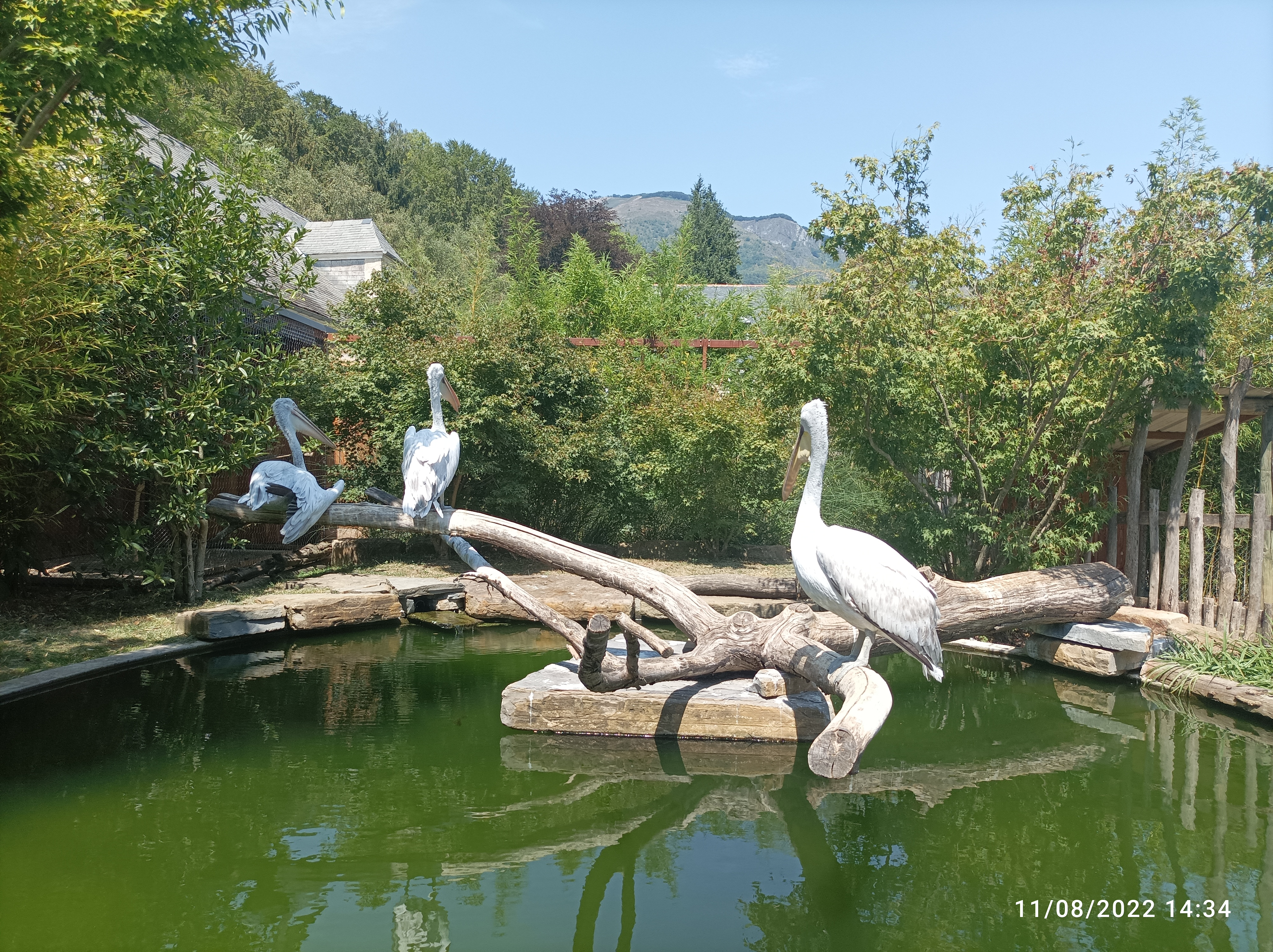 Photo n° 10 de l'avis de aurelie.� fait le 31/08/2019 à 22:43