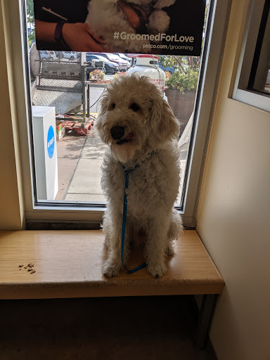 Pet Supply Store «Petco Animal Supplies», reviews and photos, 2001 15th Ave W b, Seattle, WA 98119, USA