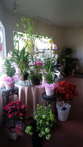 Florist «Grohe Florists», reviews and photos, 1313 McDonald Ave, Santa Rosa, CA 95404, USA