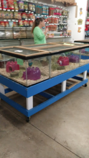 Pet Store «Pet World - Auburndale», reviews and photos, 3637 Havendale Blvd, Auburndale, FL 33823, USA