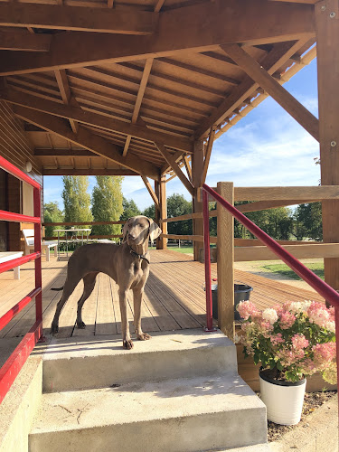 Centre Equestre de Venat à Saint-Yrieix-sur-Charente