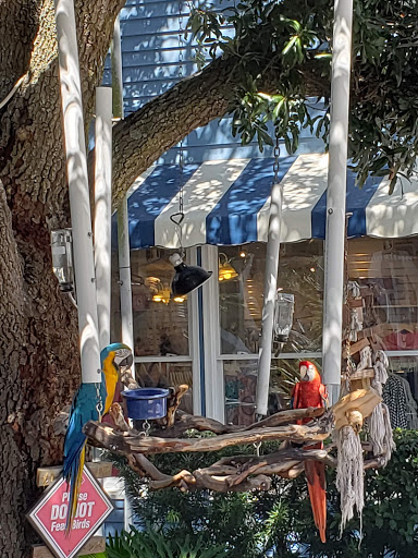 Ice Cream Shop «Salty Dog Ice Cream Factory», reviews and photos, 232 S Sea Pines Dr #304, Hilton Head Island, SC 29928, USA