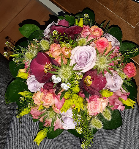 Telefonnummer for Vintergækken