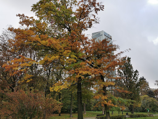 Świętokrzyski Park