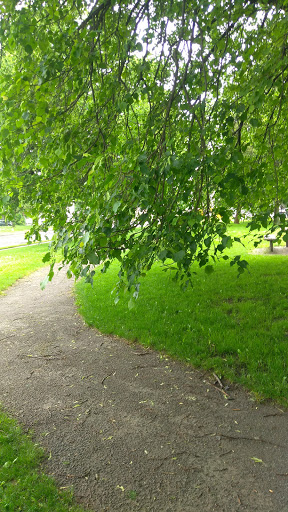 Recreation Center «Edgerton Recreation Center», reviews and photos, 41 Backus St, Rochester, NY 14608, USA